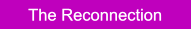 The Reconnection The Reconnection
